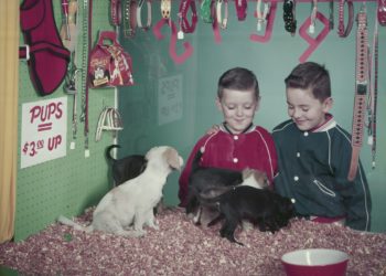 ¿Cuál es el animal ideal para regalar a un niño esta Navidad? Ninguno