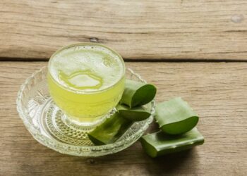 El sorprendente té de sábila: cuáles son los beneficios de tomarlo por la noche