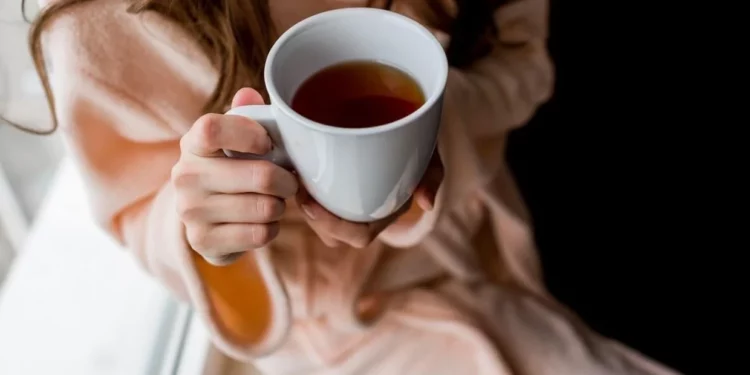 Té de hojas de guayaba: cómo consumirlo para controlar el colesterol, la obesidad y la diabetes