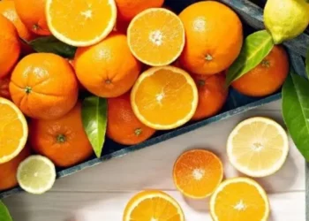 Cuál es la fuente clave de vitamina C que ayuda al sistema inmunológico