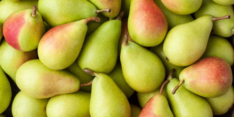 Cuáles son los beneficios en el cuerpo al comer una pera por día
