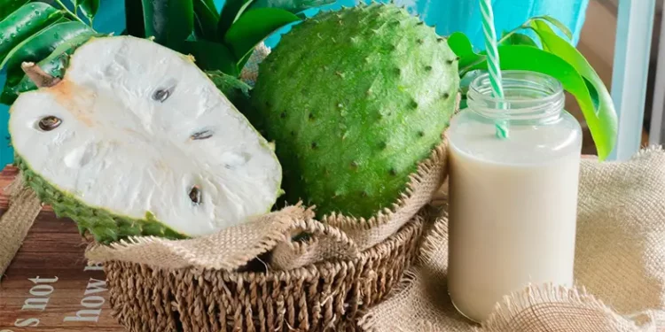 Guanábana: La poderosa fruta que ayuda a prevenir el cáncer y controla la diabetes
