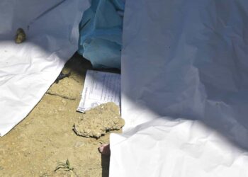 Cadáveres de neonatos fueron entregados debidamente a Funeraria para sepultura