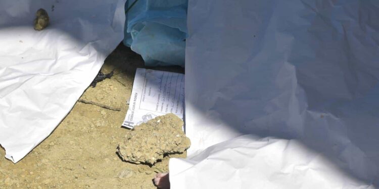 Hallan seis cadáveres de recién nacidos en la entrada del cementerio Cristo Salvador