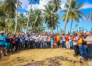 IDAC encabeza jornada de limpieza y reforestación en zona costera de Playa Jackson, en el Catey de Samaná