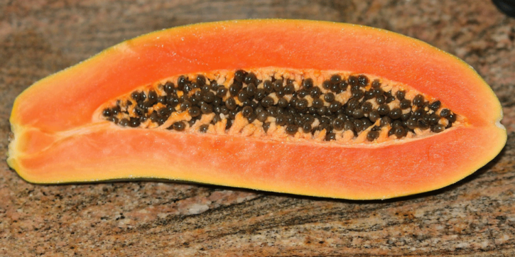 Semillas de lechosa: así se deben utilizar para mejorar la digestión y prevenir infartos