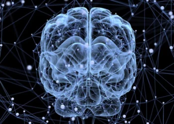 Los 6 consejos de un neurólogo para proteger tu memoria