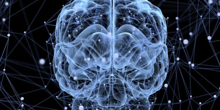 Los 6 consejos de un neurólogo para proteger tu memoria