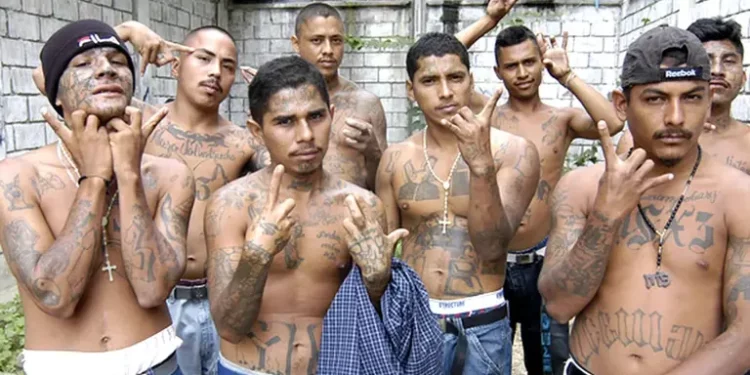 Estos son los 5 grupos que controlan el narcotráfico y el crimen organizado en América Latina