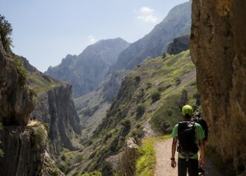 Cuántos minutos de ejercicio se deben hacer al día para enfrentar el sedentarismo y reducir el riesgo de mortalidad