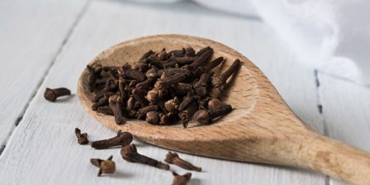 Clavos de olor: ¿cuáles son las contraindicaciones para la salud de algunas personas?