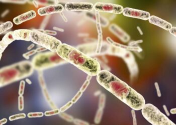 ¿Qué es el ántrax, enfermedad que temen esté en Haití?