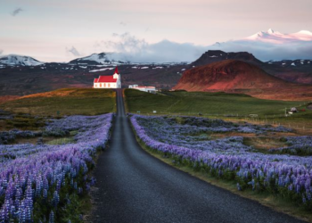 Estos son los 10 pasaportes más poderosos del mundo en 2024, según Henley & Partners