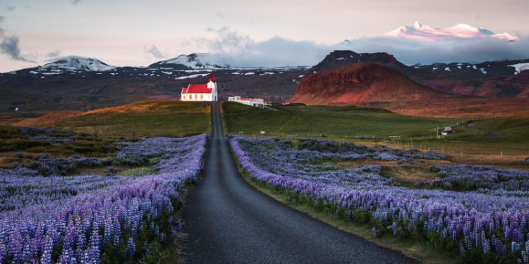 Estos son los 10 pasaportes más poderosos del mundo en 2024, según Henley & Partners