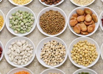 Legumbres, una “potencia nutricional” antioxidante: menos riesgo de diabetes y colesterol alto