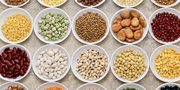 Legumbres, una “potencia nutricional” antioxidante: menos riesgo de diabetes y colesterol alto