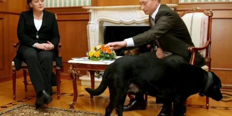 Las memorias de Angela Merkel: del día que Putin la aterrorizó con su perro a su relación con Trump