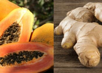 Qué beneficios tiene la lechosa con jengibre, según expertos