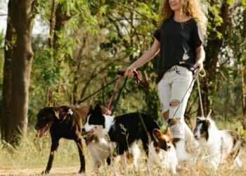¿Gatos, perros o peces? Esto es lo que dice de ti el tipo de mascota que tengas