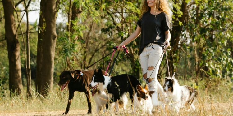 ¿Gatos, perros o peces? Esto es lo que dice de ti el tipo de mascota que tengas