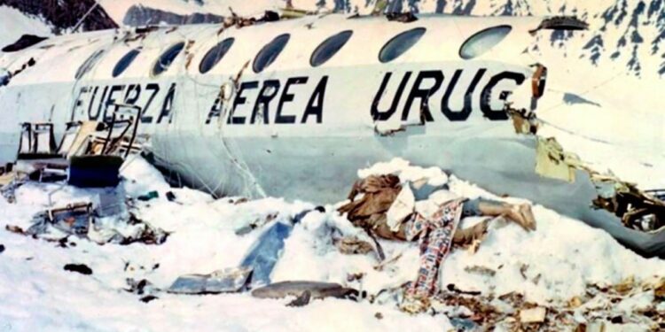 ¿Por qué son importantes las historias de sobrevivientes?